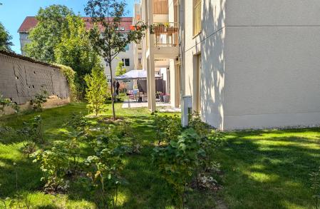 Gartenansicht WG Regattastr. Gartenansicht WG Regattastr.